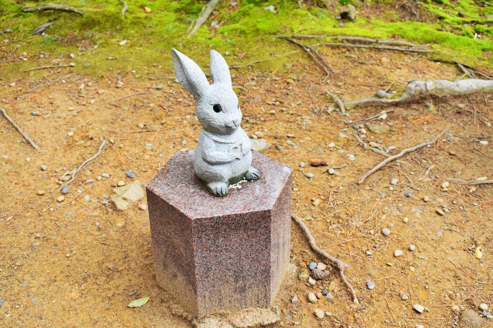 うさぎマニアは必見 出雲大社 出雲大社といえば 古事記の 因幡の白兎 で有名ですが まさかこんなにうさぎの像が By Remi Nakata Medium うさぎマニアは必見 出雲大社 出雲大社といえば 古事記の 因幡の白兎 で有名ですが まさかこんなにうさぎの像が By Remi Nakata Medium