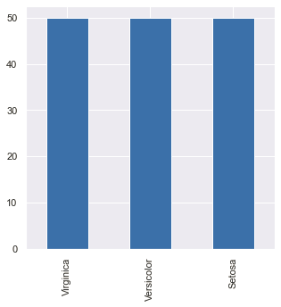 Univariate Analysis: Output (Bar plot using pandas)