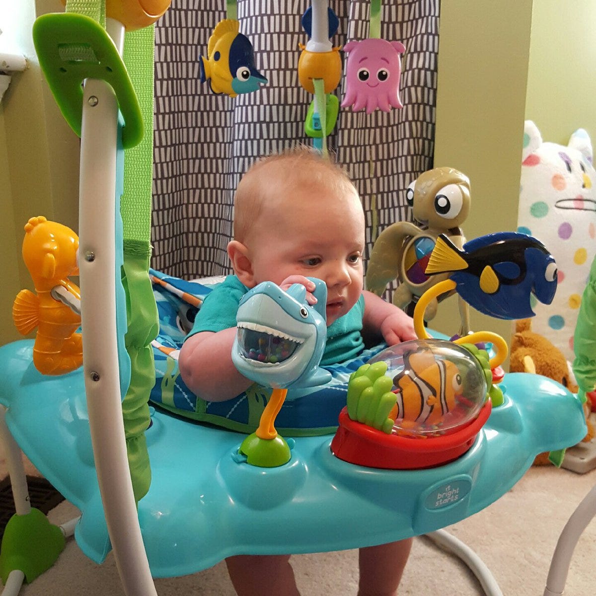 fisher price nemo jumperoo