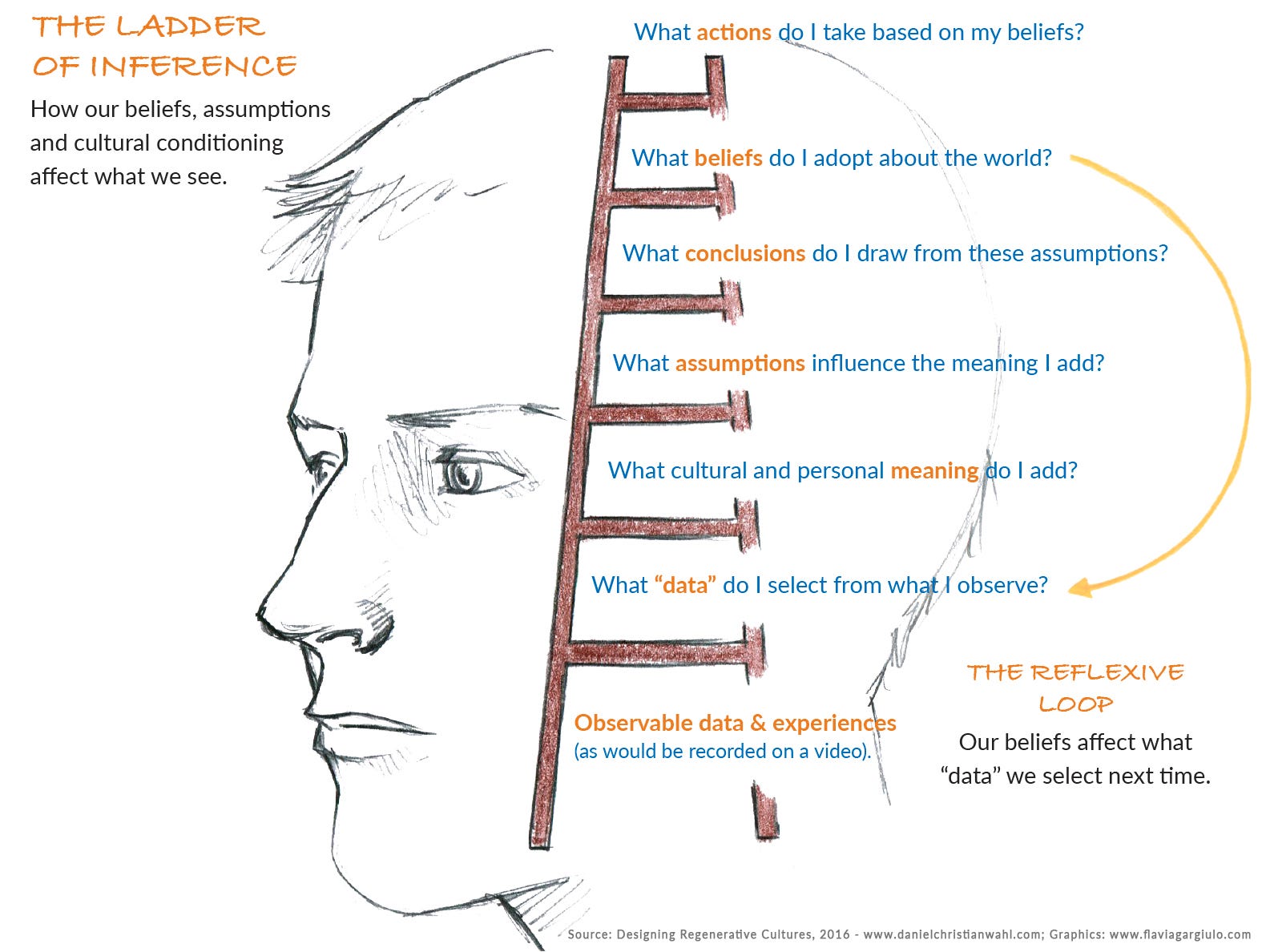 The ladder of inference designed by chris argyris essay image
