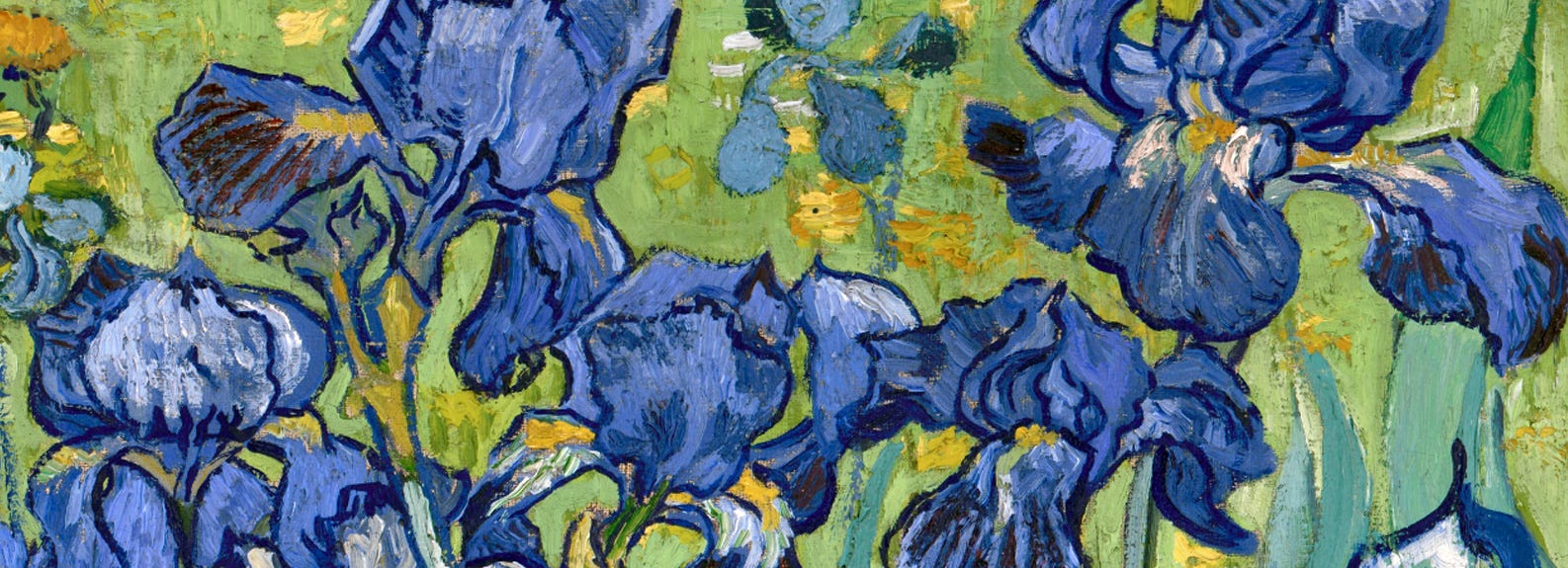 Vdm Relacionamento Vdm Profissionais Beta Medium - 