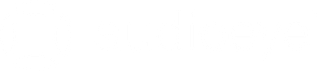 AudioEye