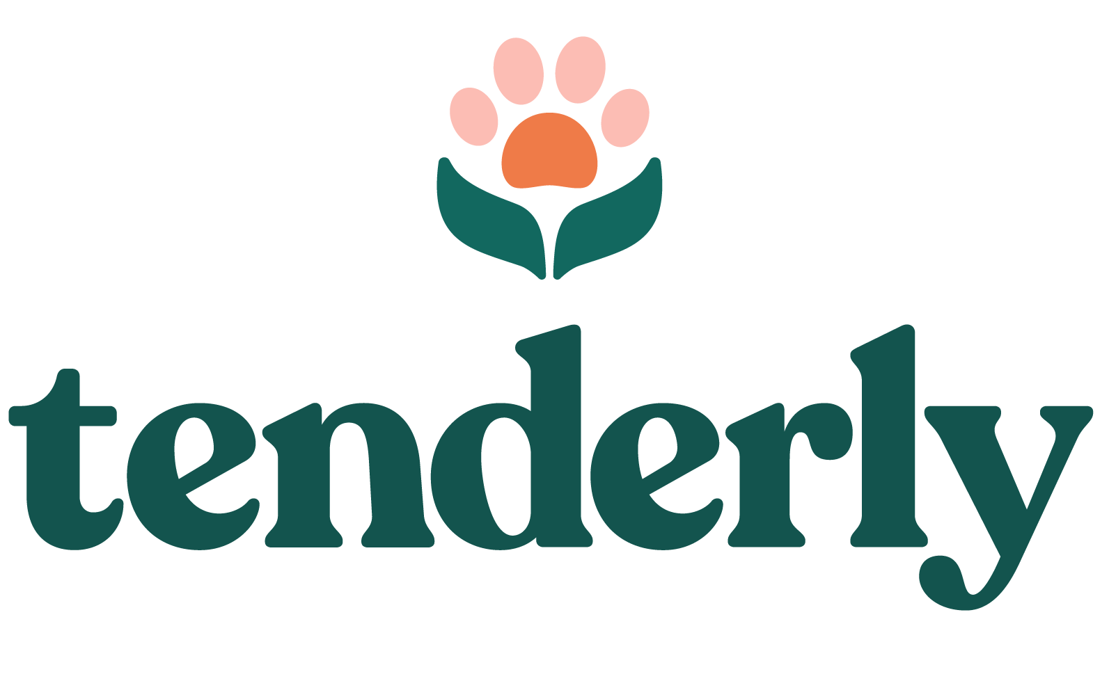 Tenderly An Introduction A New Vegan Lifestyle Magazine By Summer Anne Burton Tenderly