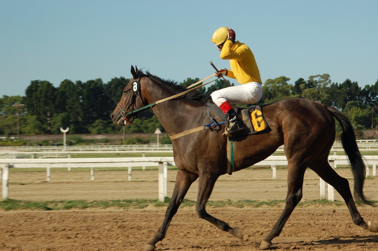 Online horse racing wagering sites