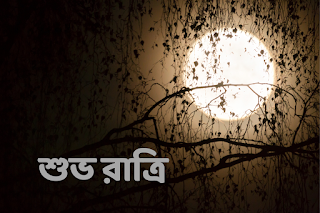 Good Night Bengali Images Free Download Bengali Shuvo Ratri Images