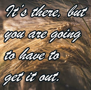 Handfuls Of Purpose. Ruth 2:14–18 (Kjv) | By Marvin Mckenzie | Baptist  Messages And Lessons | Medium