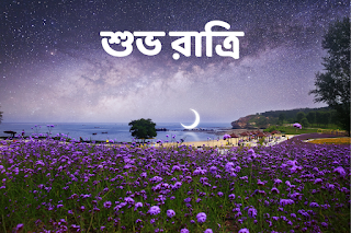 Good Night Bengali Images Free Download Bengali Shuvo Ratri Images