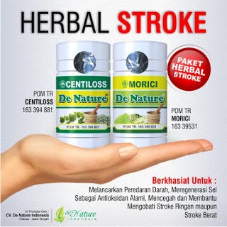 Cara Menyembuhkan Stroke Sebelah Kiri Makanashiu