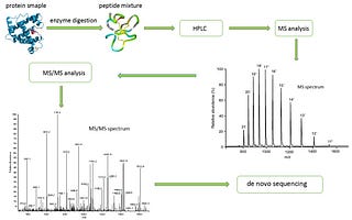 The Principle of Protein De Novo Sequencing | by Prime Jones | Medium