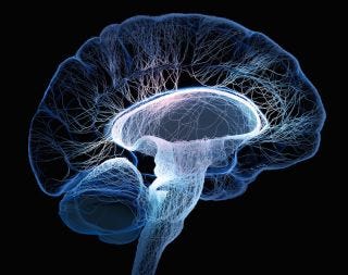 Brain:-Increase brain energy and treat brain fog