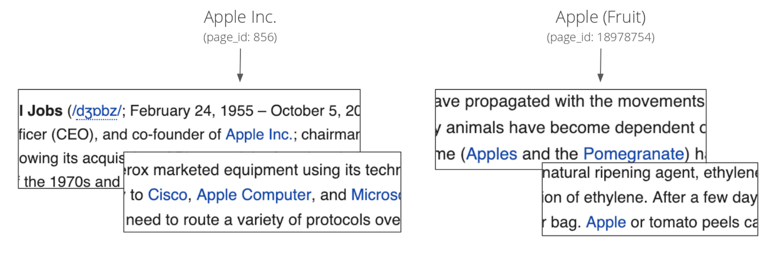 How To Build A Smart Synonyms Model By Patrick O Neill Kensho Blog
