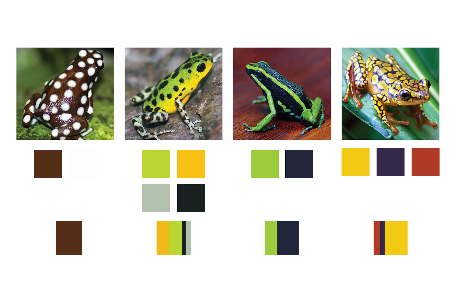 Hoppin’ into some frog investigations - Protection Through Identity