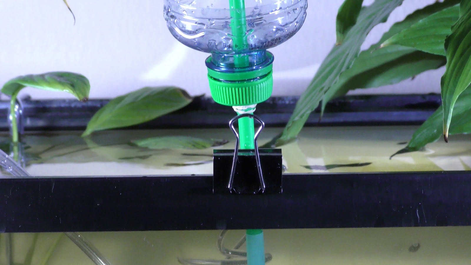 DIY Aquarium Sponge Filter. The aquarium filter powered by an air… by