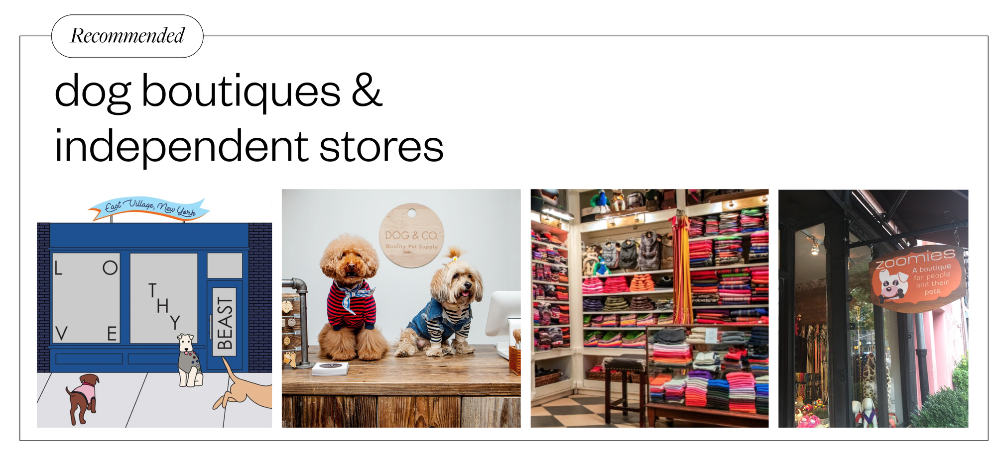 The Dog Owner S Guide To Manhattan By Maev Medium The Dog Owner S Guide To Manhattan By Maev Medium