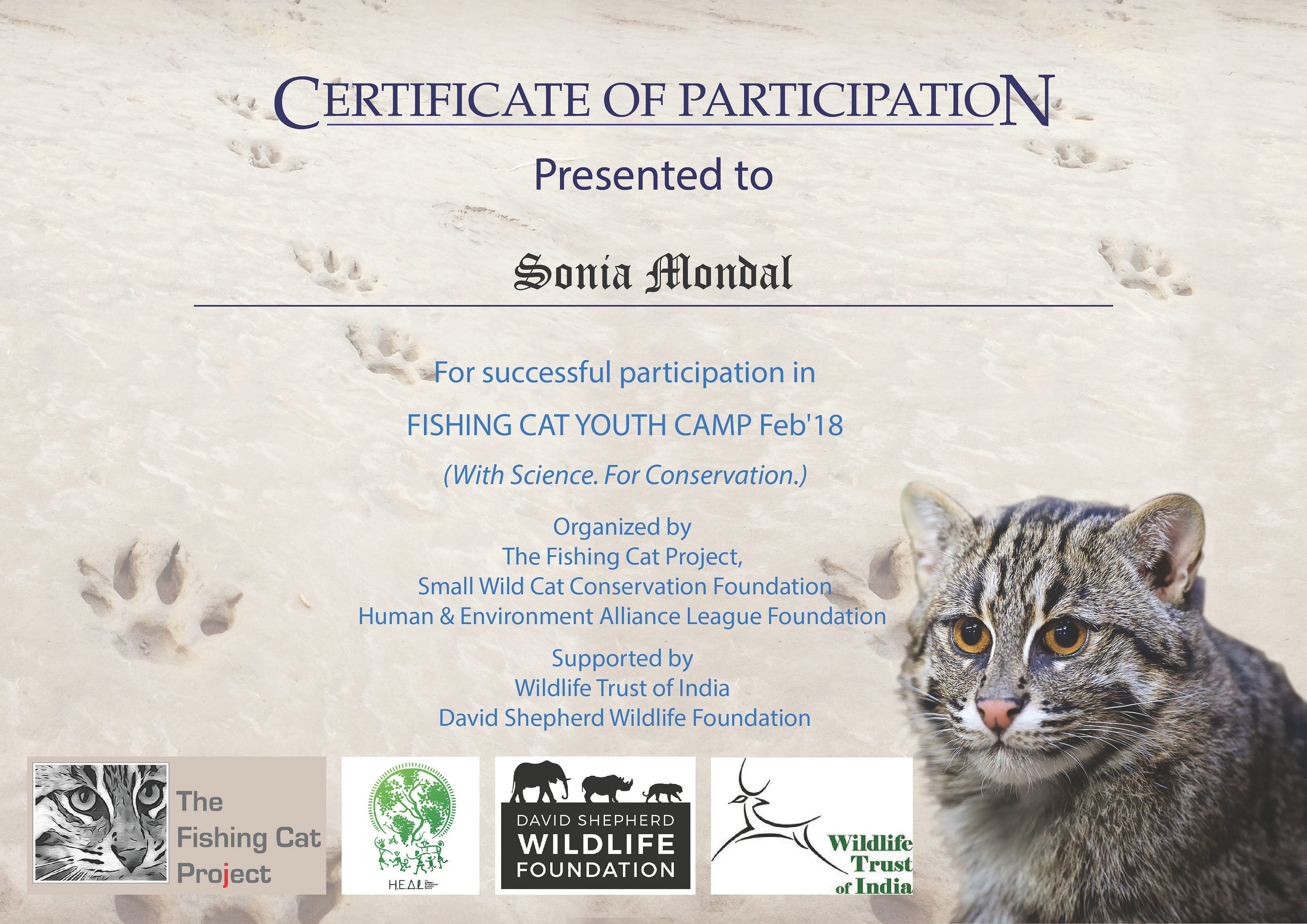 Month Of The Fish Tiger Global Wildlife Conservation