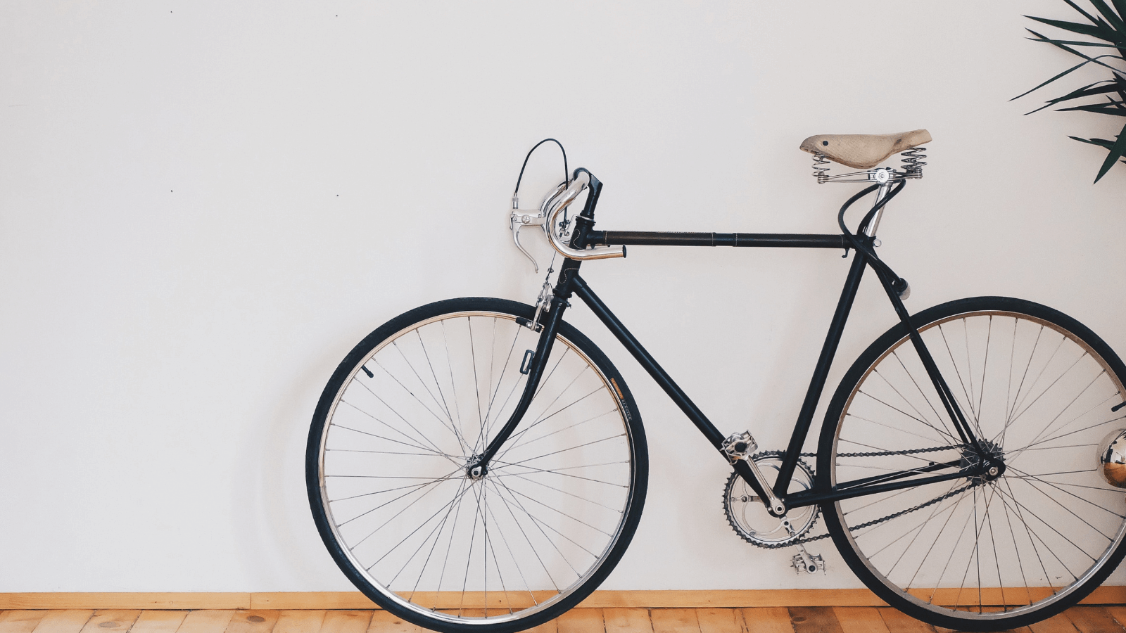 buy bicycle for adults