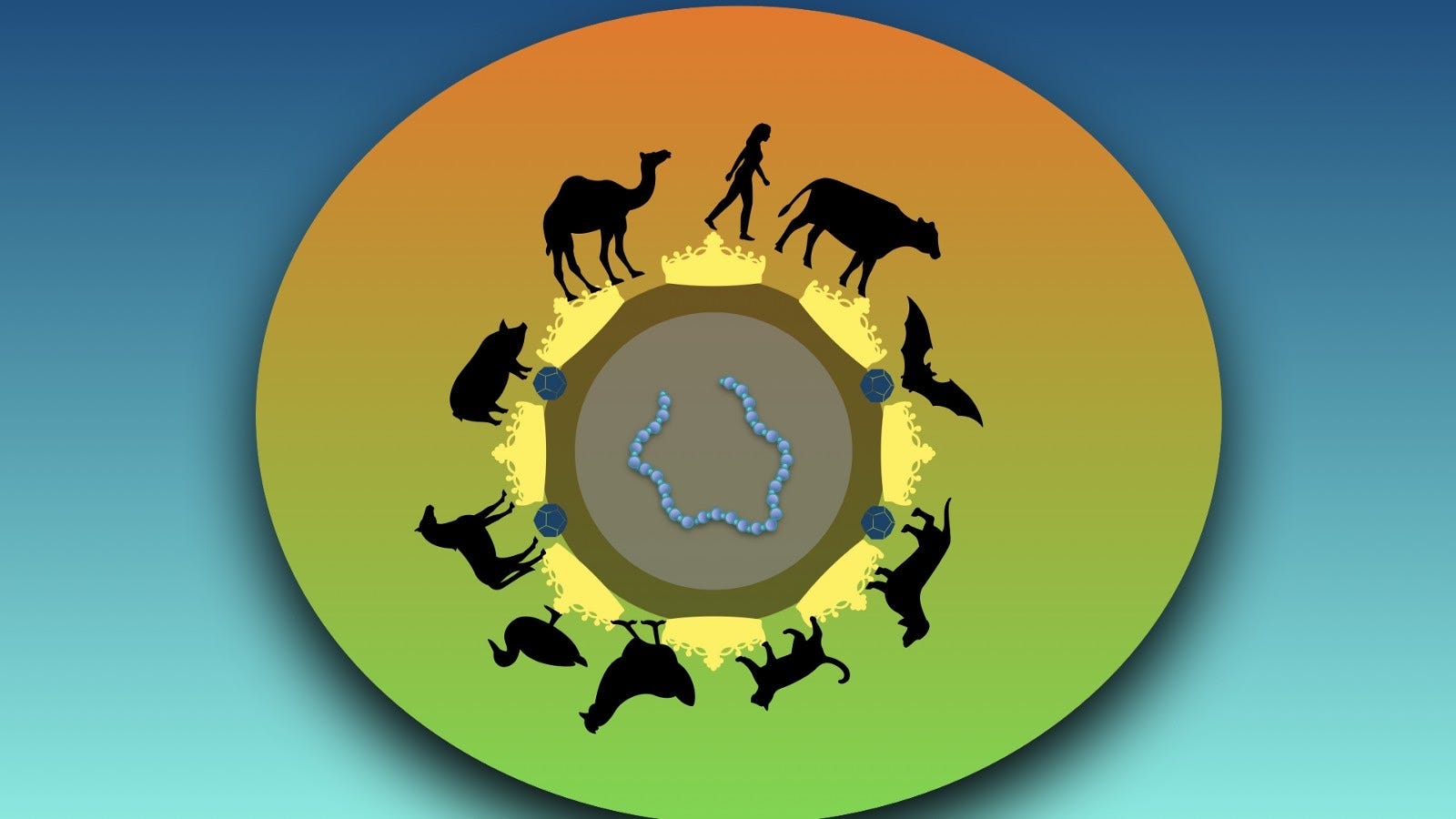 Download The Circle Of Life Science PNG