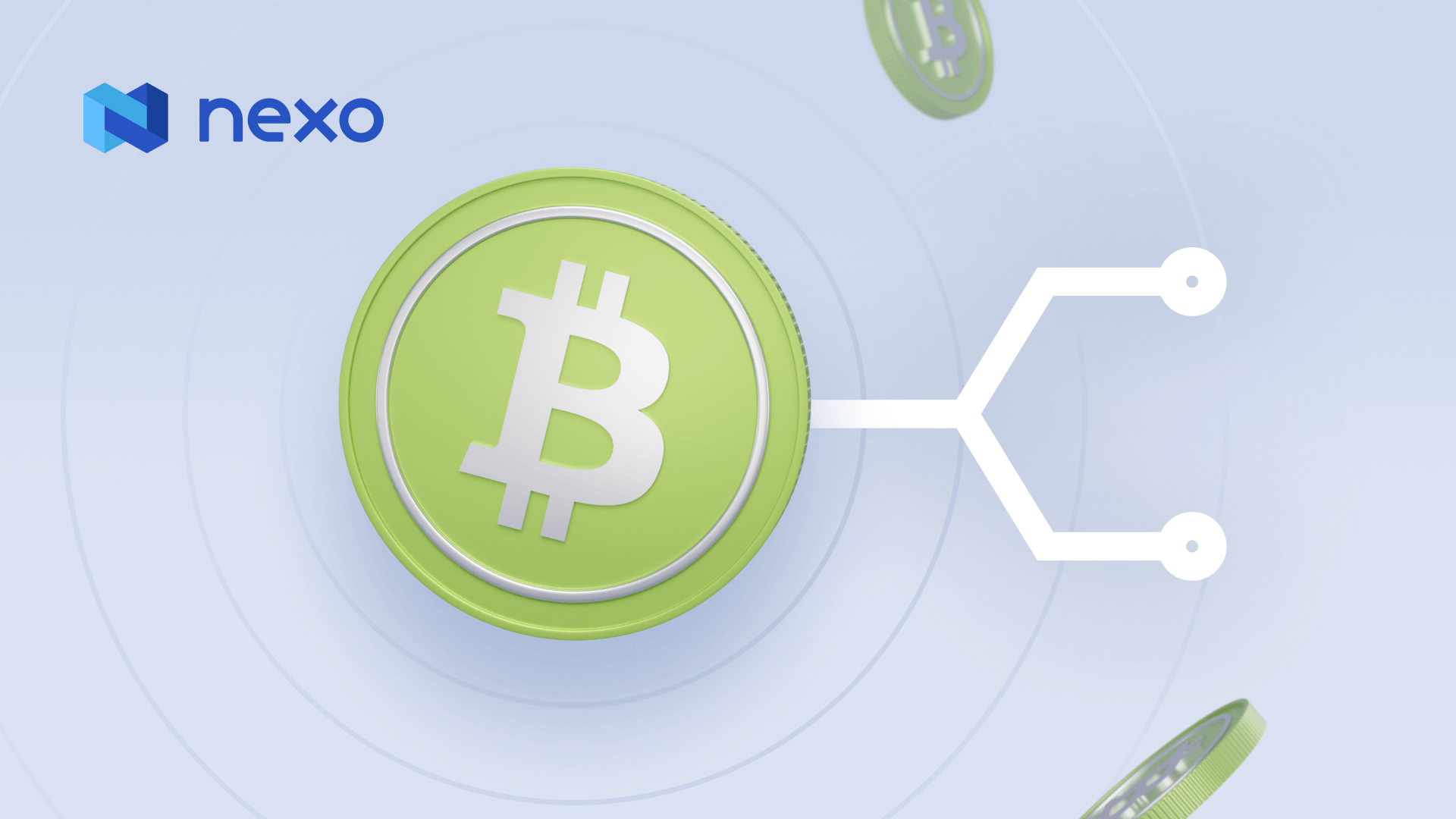 Bitcoin Bitcoin