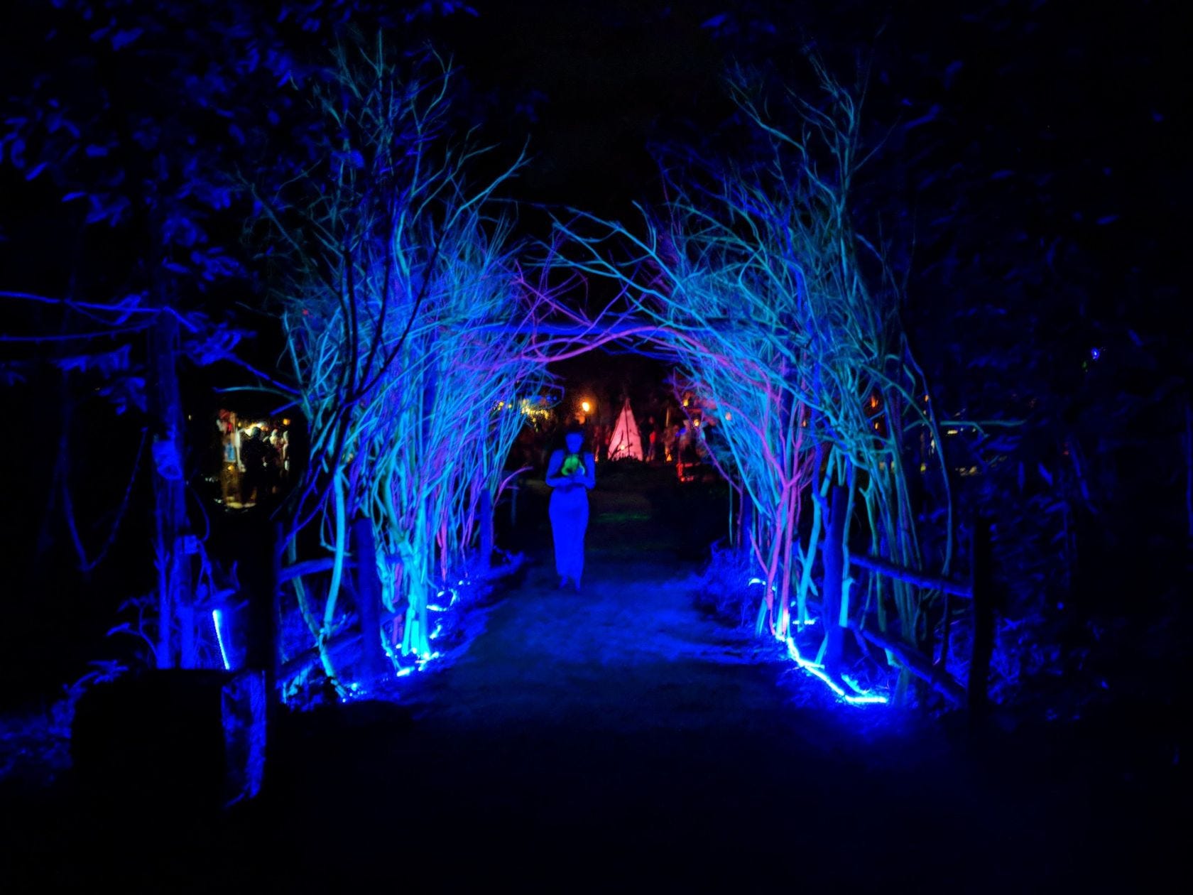 Yourmatetravels 27 Koh Rong And Glowing Plankton Yourmate Medium