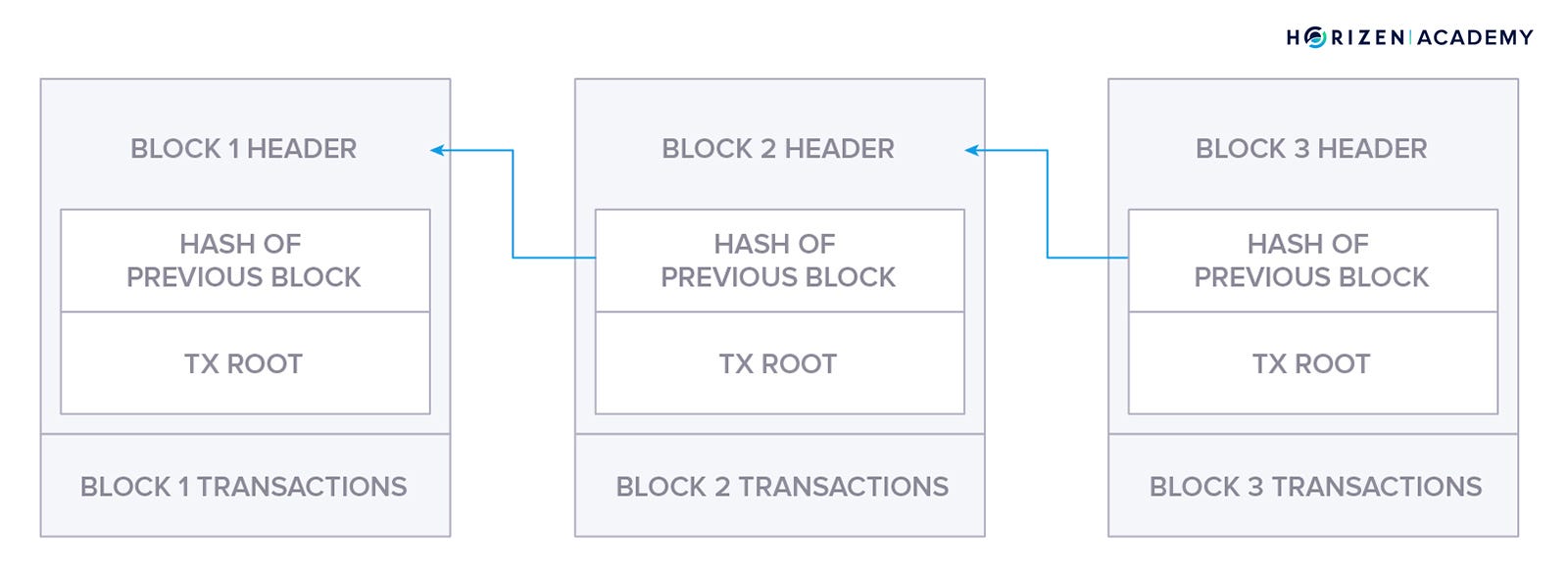 Blockchain As A Data Structure One Can Explain Blockchain Technology By Horizen Horizen Medium