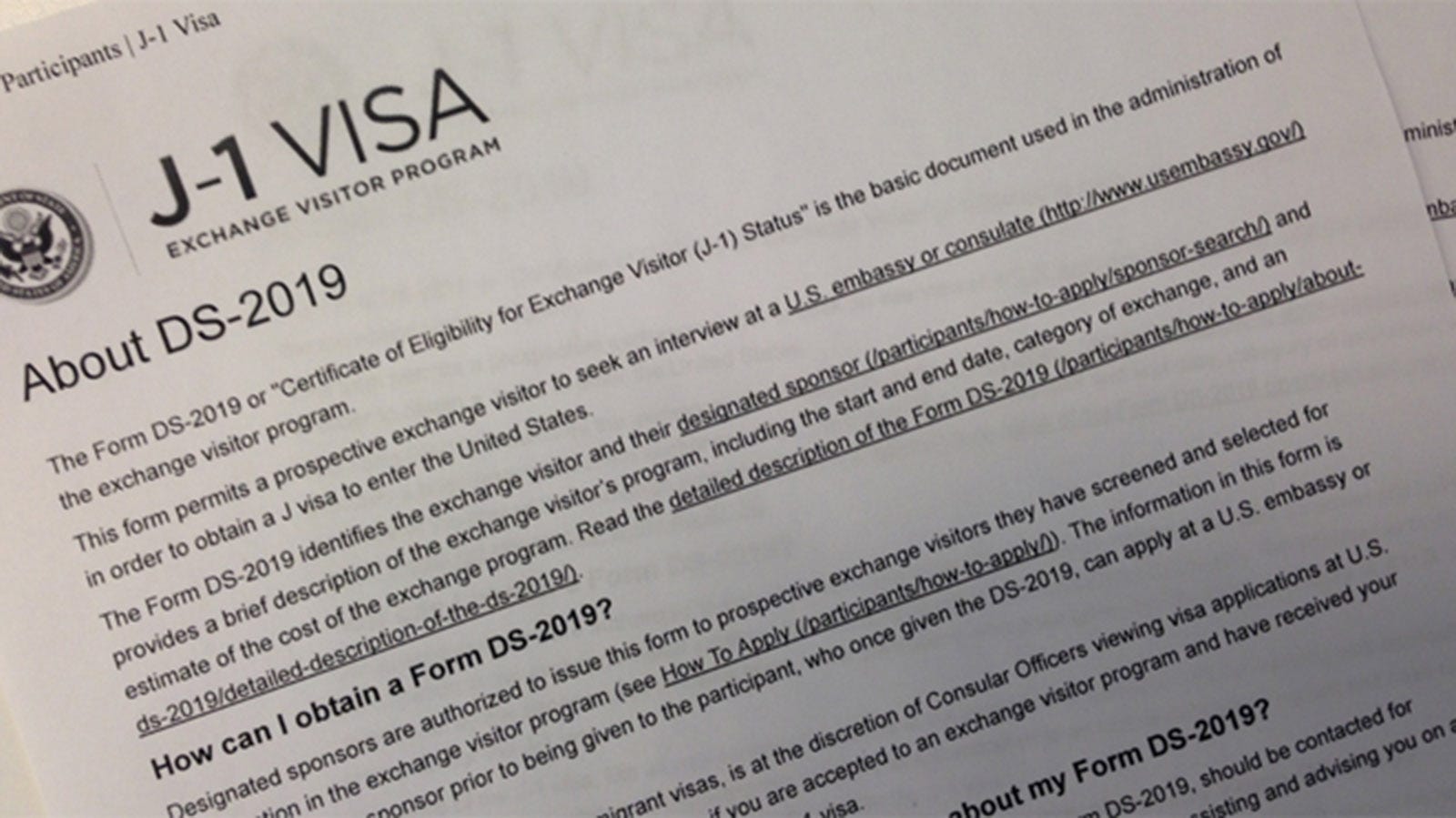 Should Brown - What Visa Medium You Elanora Know? - Basics: J-1 Elanora - Know? You J-1 Should Medium Brown - Visa What Basics: