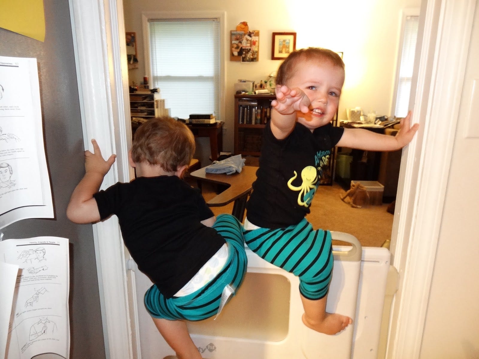 climb proof baby gate