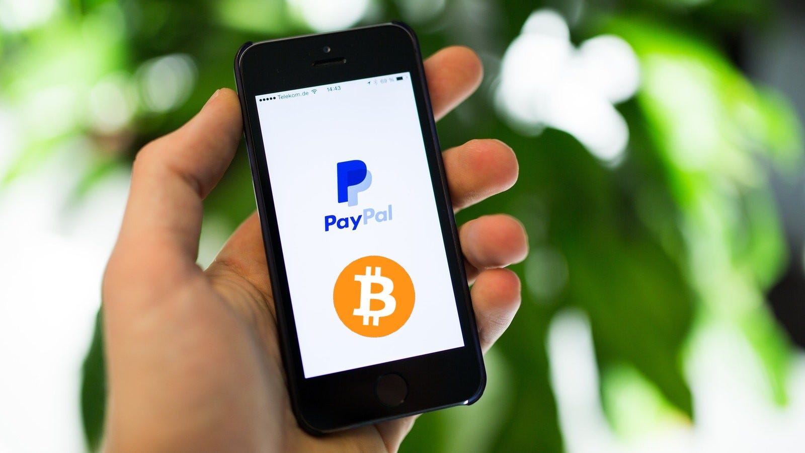 PayPal the next big bitcoin seller? | The Capital