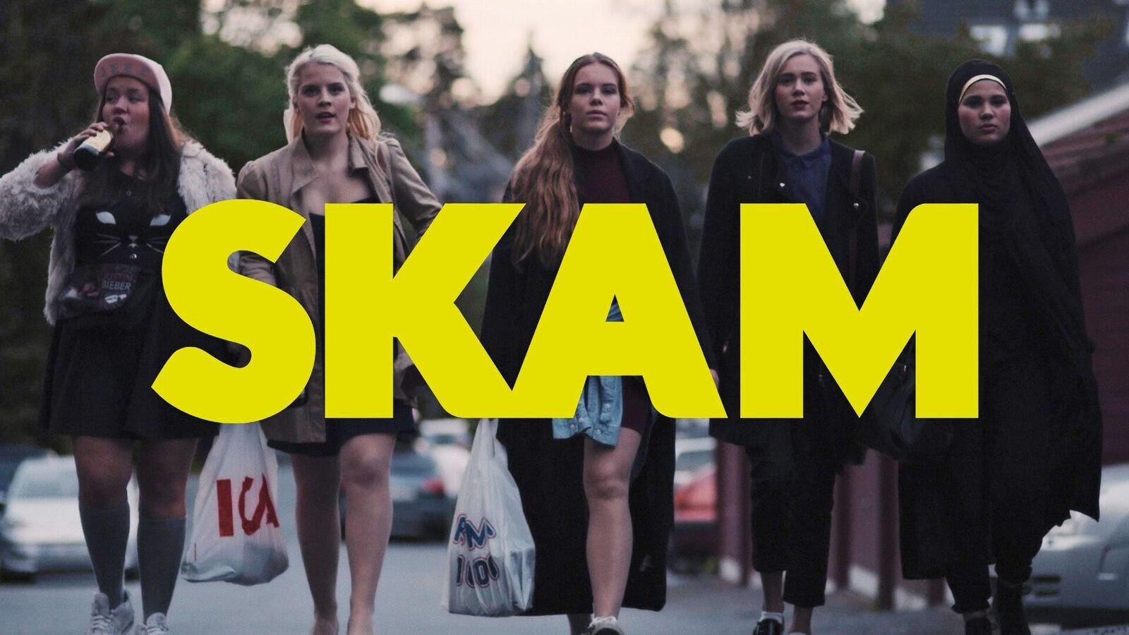 Resultado de imagen para skam