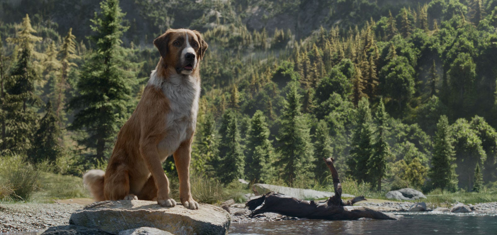 The Call Of The Wild Is All Bark And No Bite By Max Greene Incluvie Medium The Call Of The Wild Is All Bark And No Bite By Max Greene Incluvie Medium