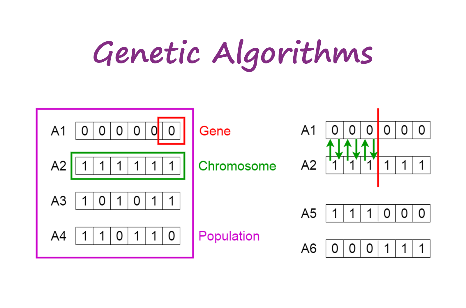 Image result for genetic algorithm