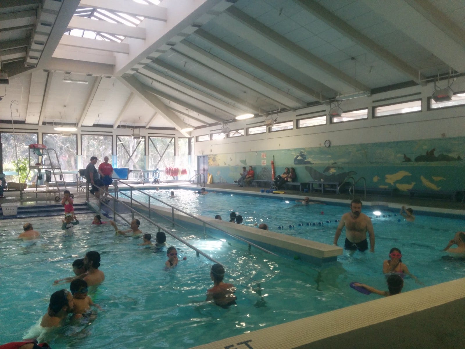 Swimming Lessons/ Life Lessons. For nearly ten years I have been coming… by Darya Mead Medium