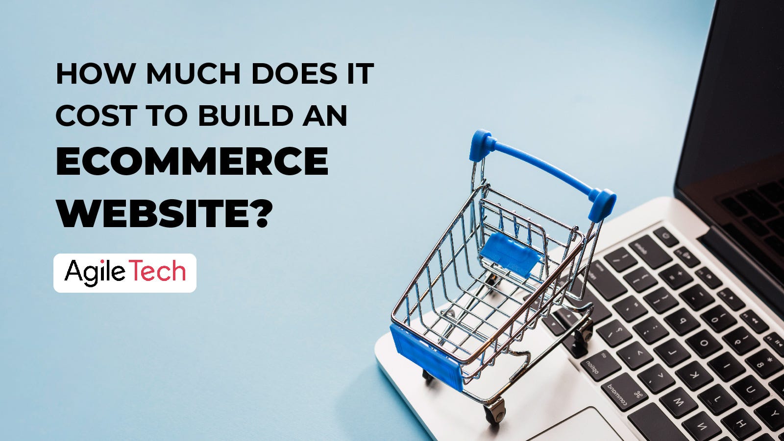 ecommerce website cost and successful online store for business by agiletech software development company