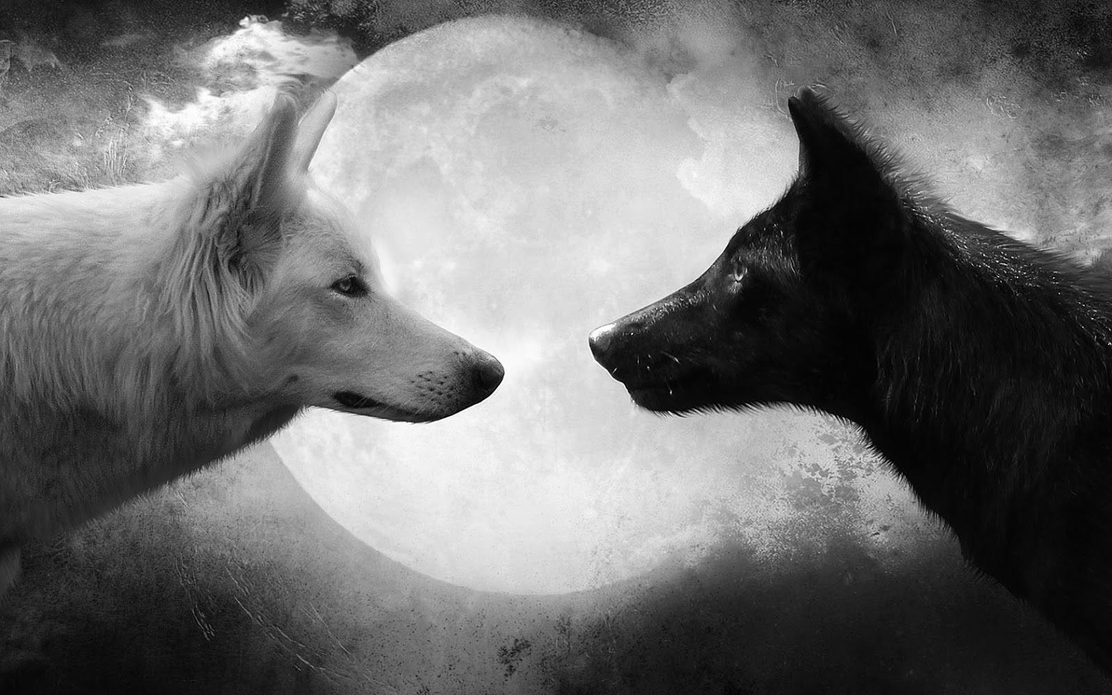 El Lobo Bueno Y El Lobo Malo Un Ensayo Sobre La Confrontacion Entre By Oscar Morillo Medium En Espanol Medium