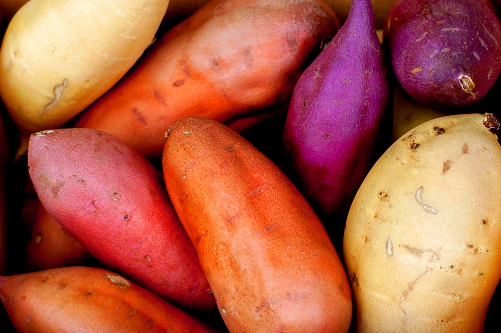 What Do The Longest Living People Eat Vegan Sant Mat