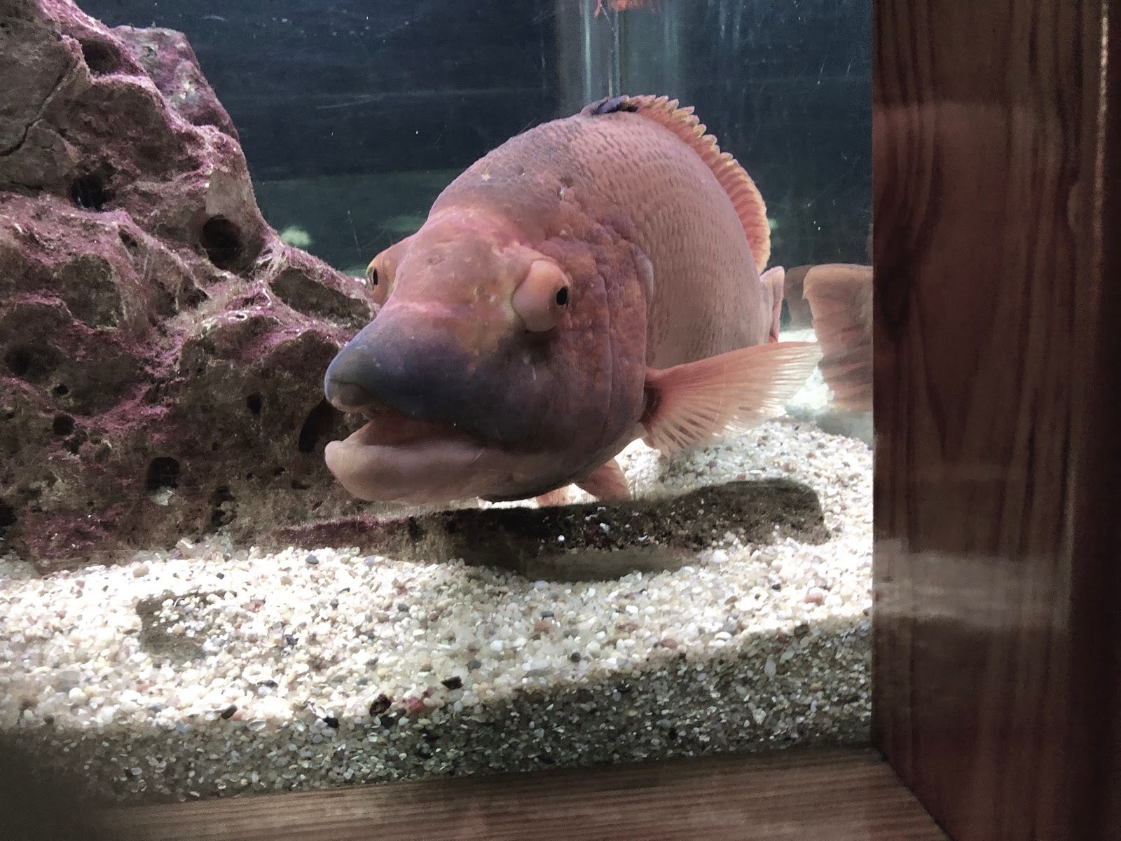 Automatic Photo Curation through Storytelling and Deep Learning | by ...