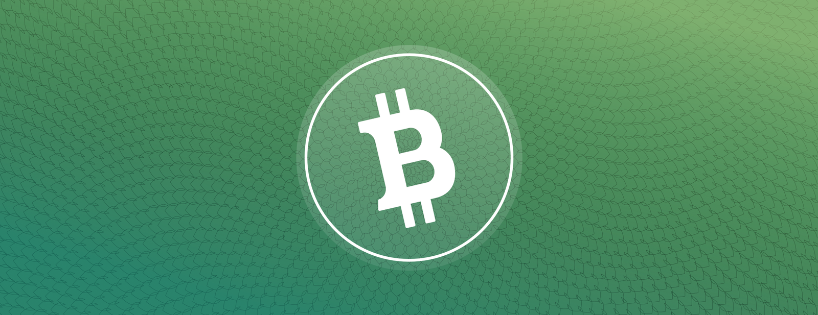 when can i buy bitcoin cash on coinbase