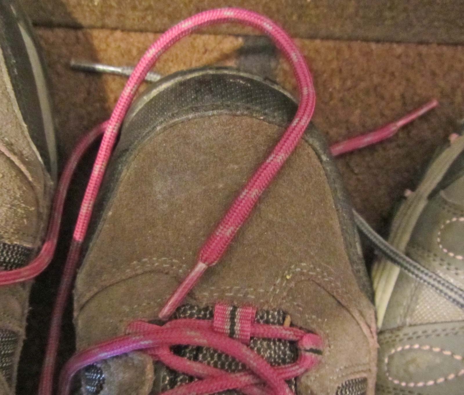 fat round shoelaces