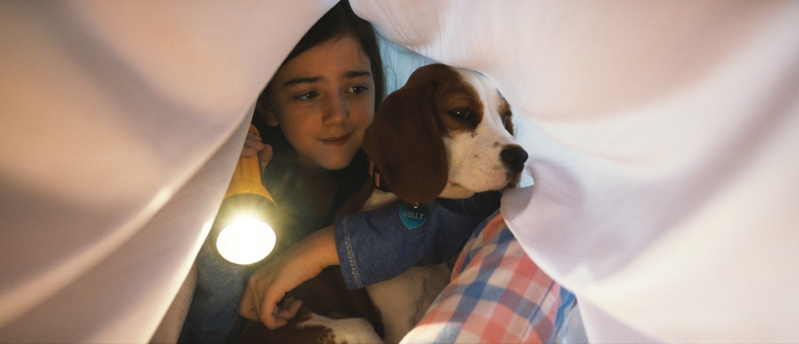 Mes Autres Vies De Chien Streaming Télécharger ~ Mes Autres Vies de Chien (2019) Regarder des Film Complet
