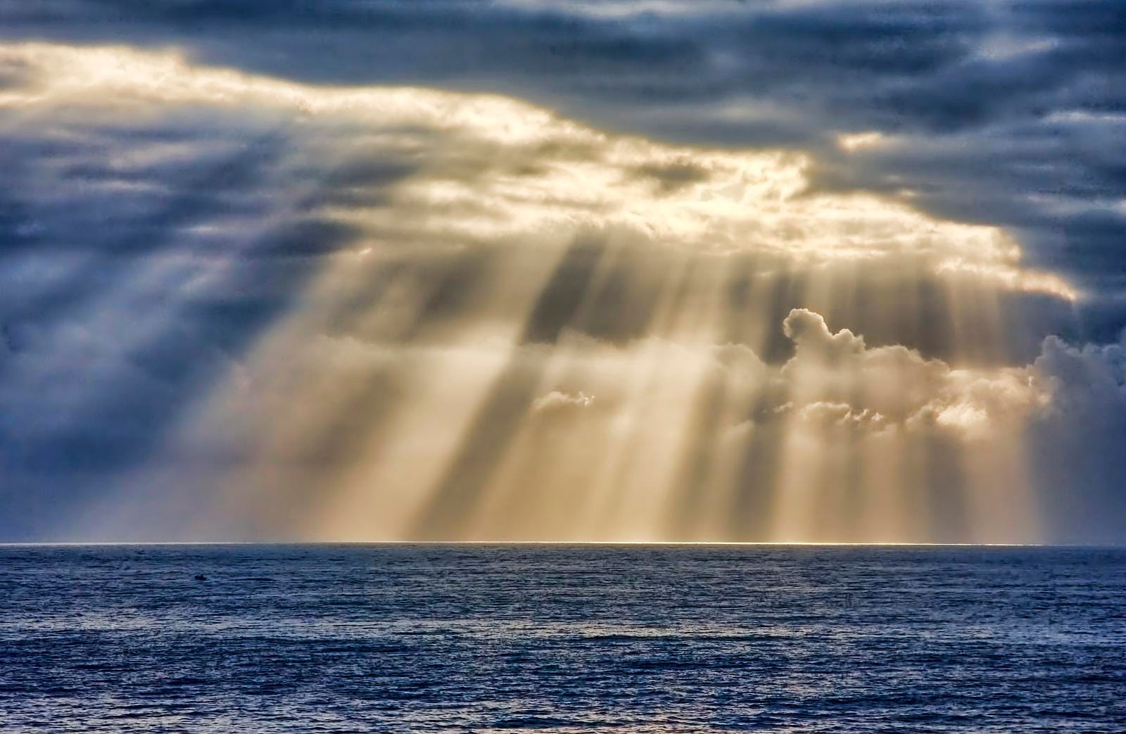 A Ray of Sunshine. Michigan gives us hope | by Chris Thomas | Medium