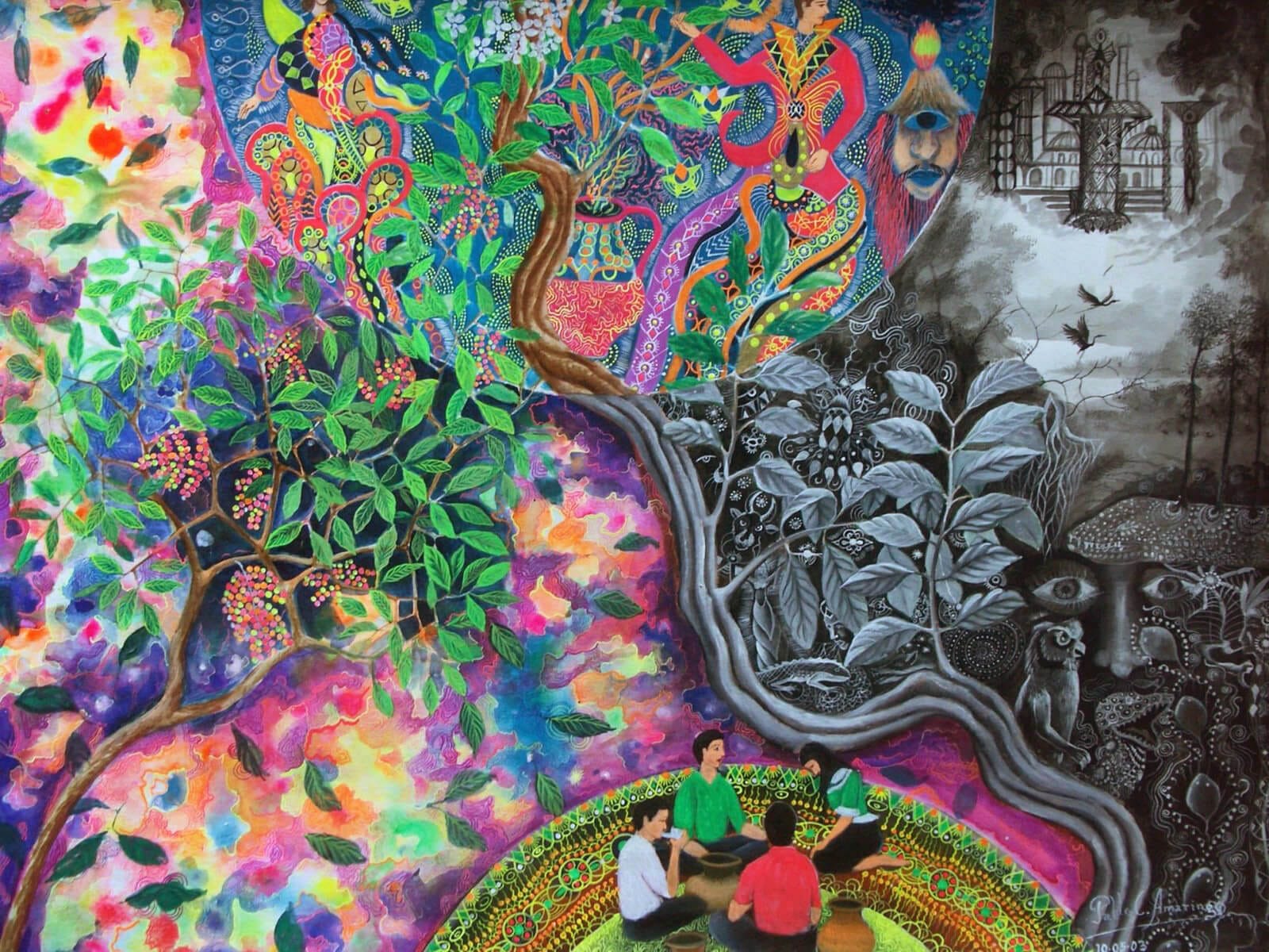My Ayahuasca Journey A Life Changing Experience In South Africa