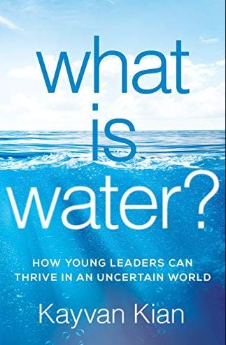 What Is Water How Young Leaders Can Thrive In An Uncertain World By Kayvan Kian By Chaitan Medium