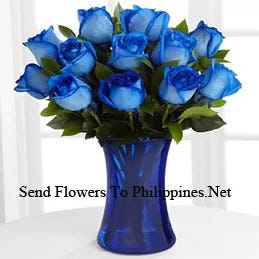 12 Divine Blue Roses