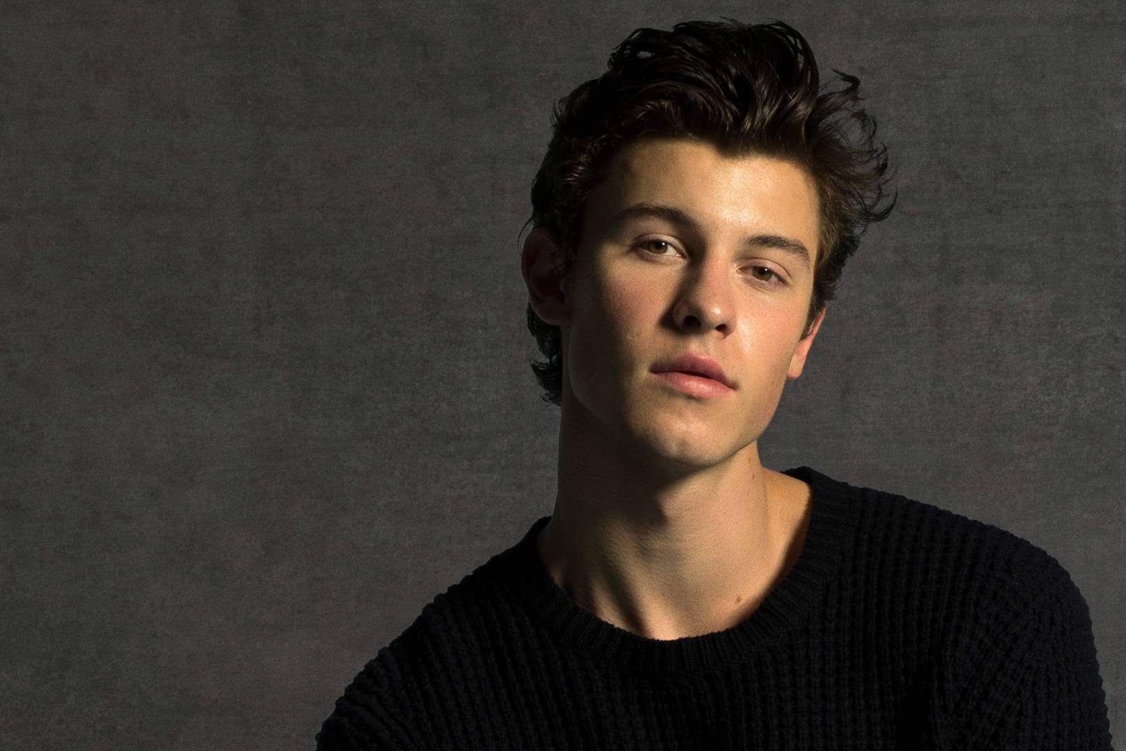 Shawn Mendes Net Worth 12 Million By David Munez Medium