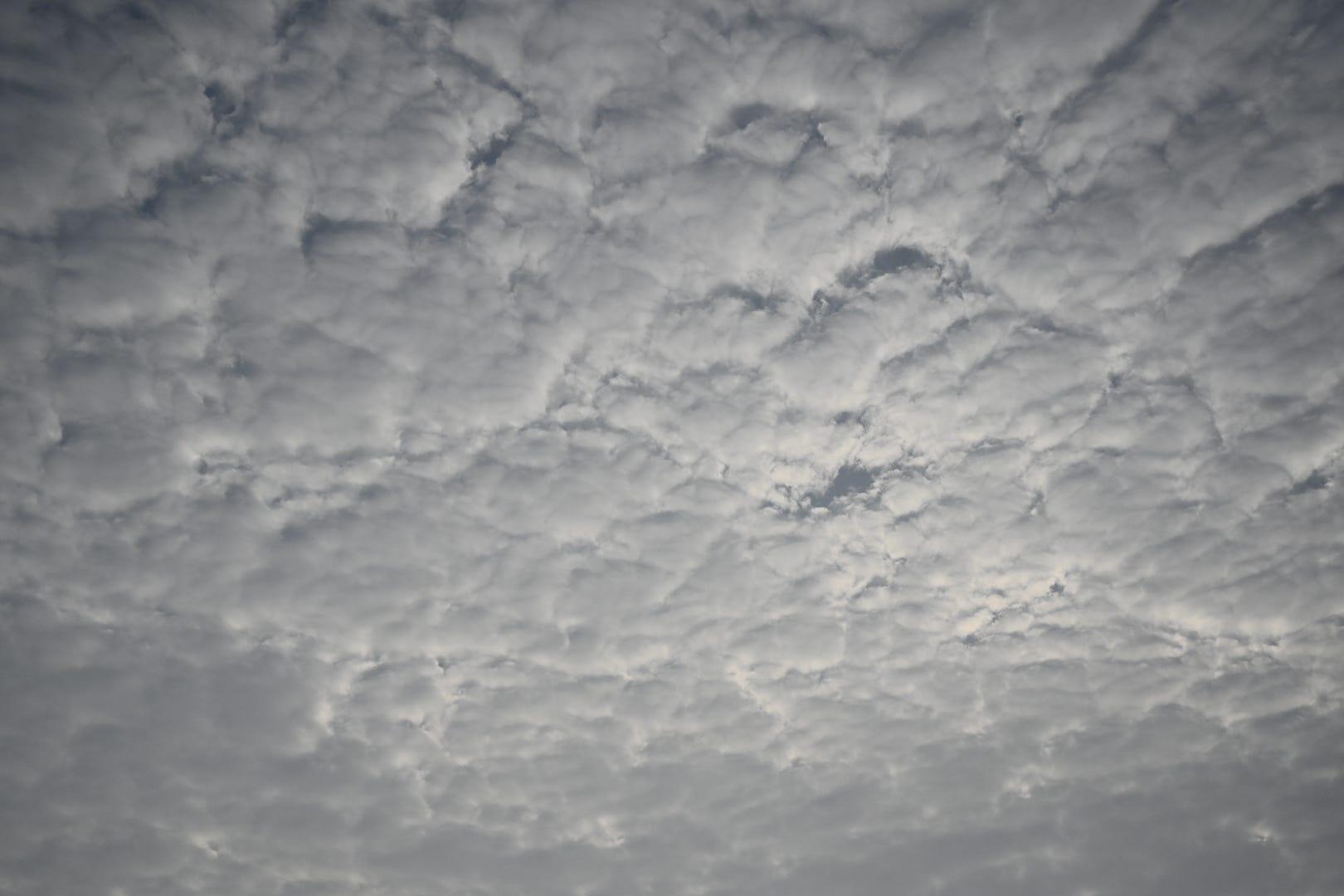 raw-image