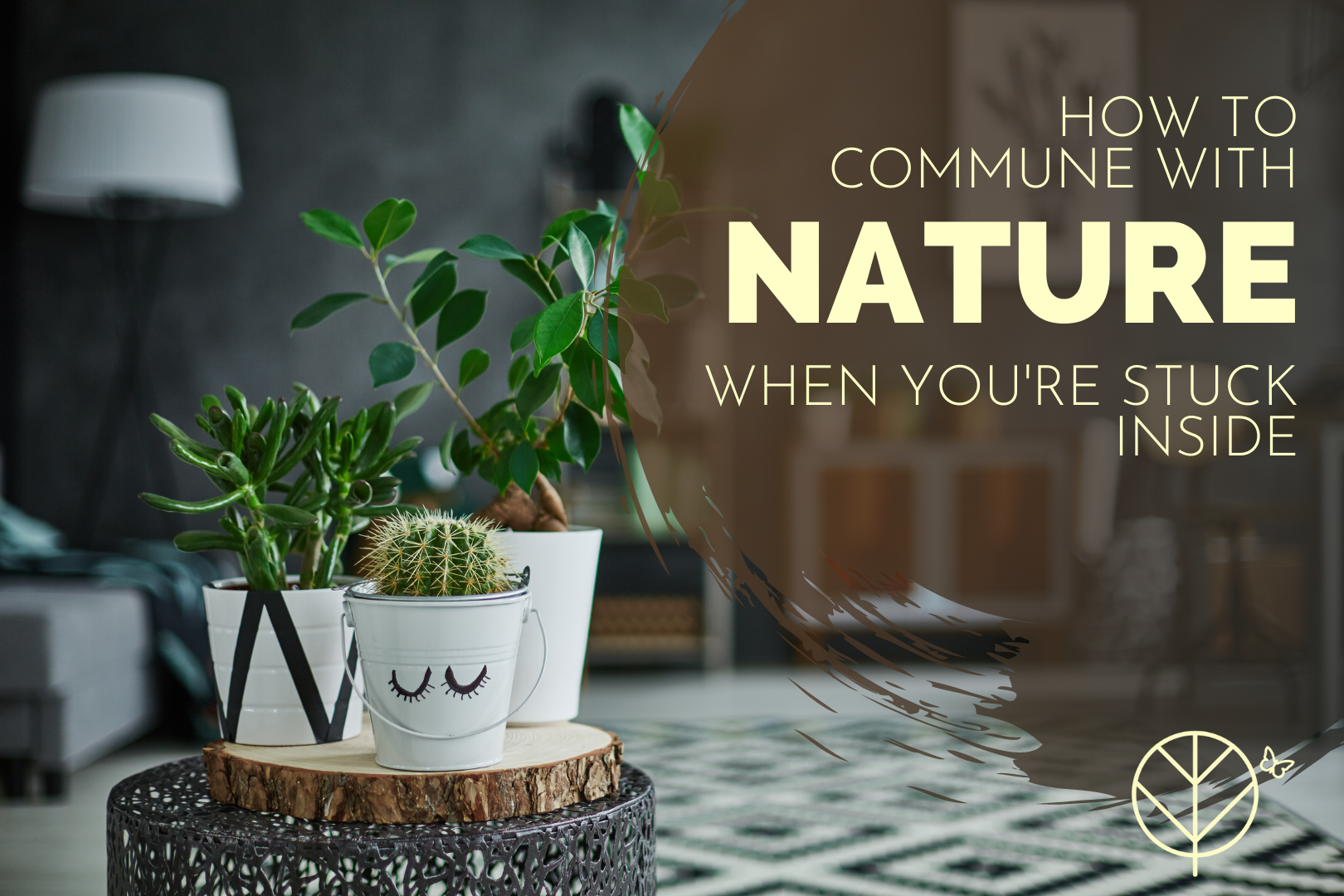 How to Commune With Nature When You're Stuck Inside | by Julietta Watson |  Oct, 2020 | Medium