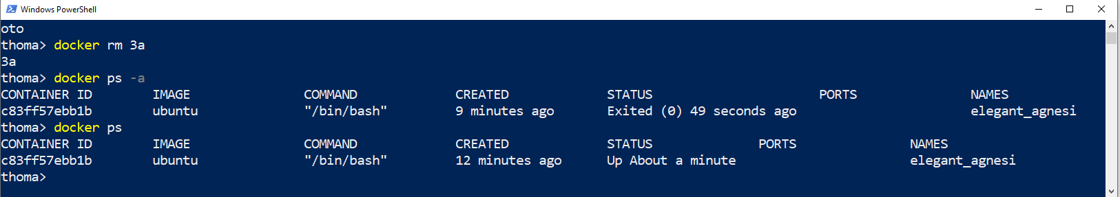 Docker Run Tutorial For Absolute Beginners Run A Single Docker Container Explained Step By Step By Thomas Wiesner Medium