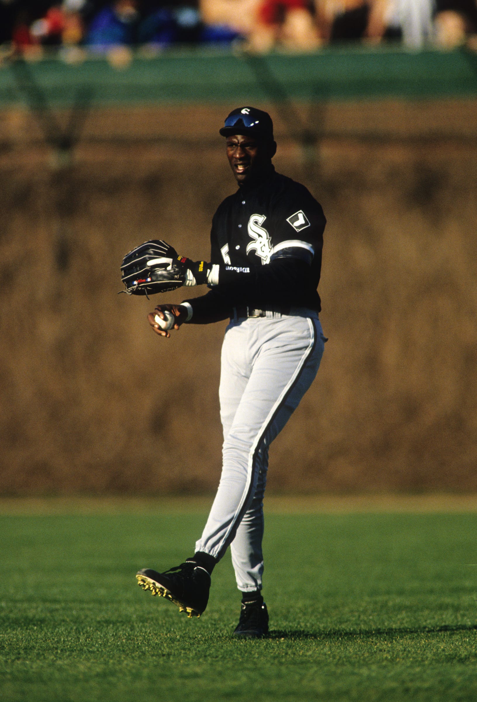 Michael Jordan, the Chicago White Sox 