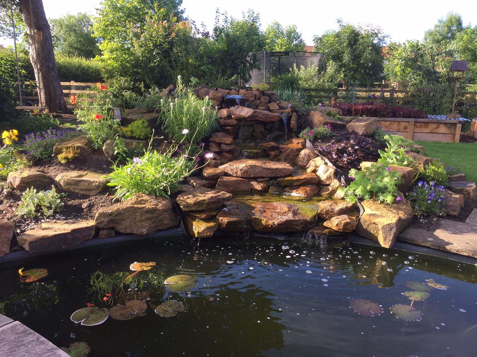 Images Of Rockeries : The Rockery Stockfotos Und Bilder Kaufen Alamy / Grocery stock photos and images.