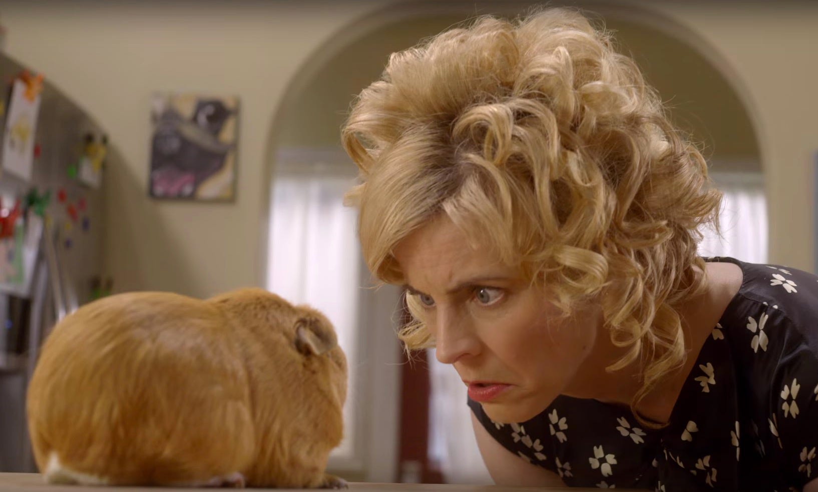 maria bamford lady dynamite