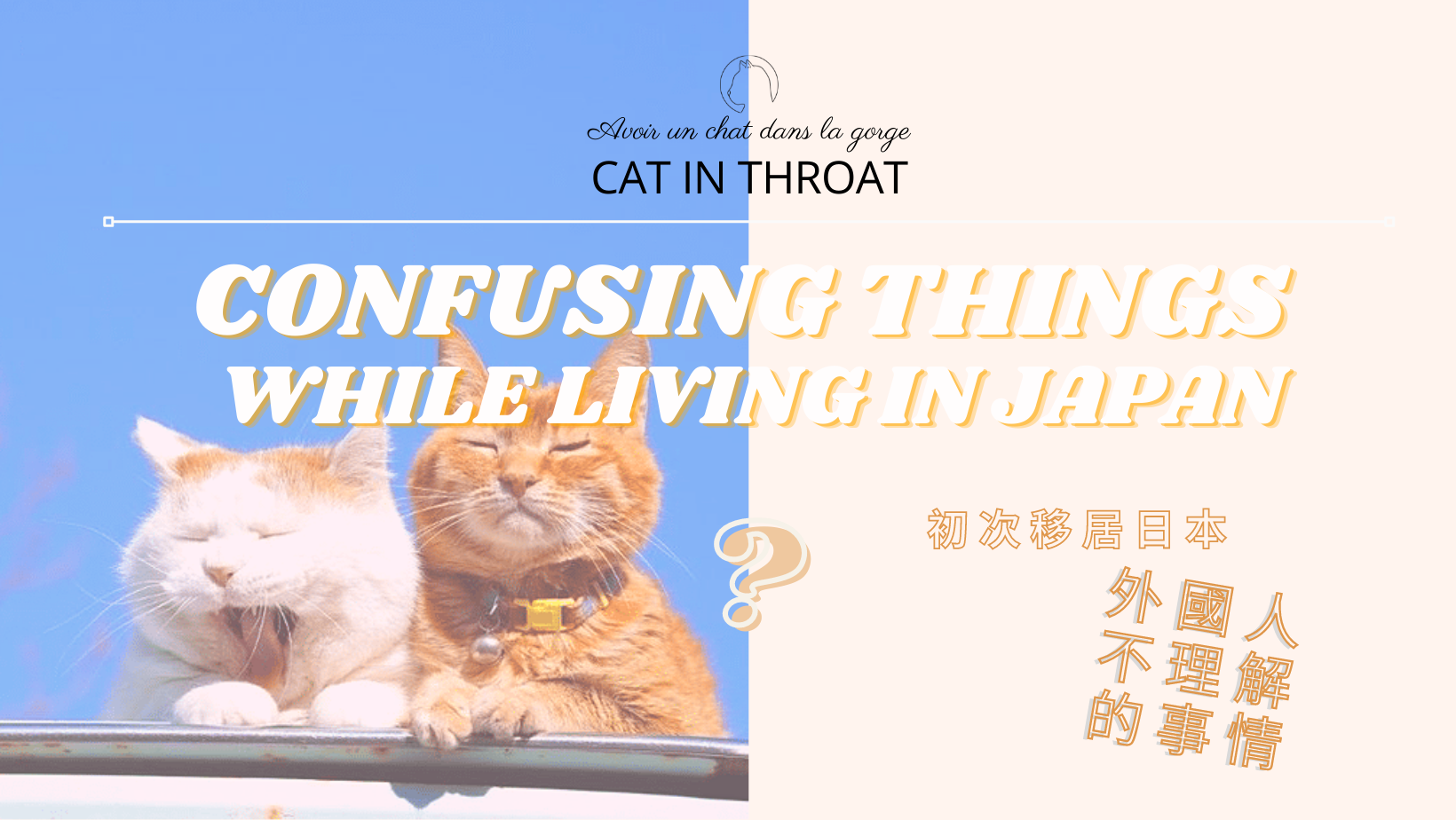 初次移居日本外國人不理解的事情 CONFUSING THINGS WHILE LIVING IN JAPAN